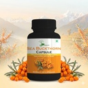 sea-buckthorn-capsule-pure-extract-for-i-71yXHR6-XbL.jpg
