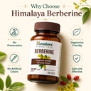 himalaya-berberine-capsules-supports-hea-71ejlXdxnjL.jpg