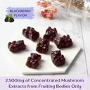lions-mane-ashwagandha-supplement-mushro-4.jpg