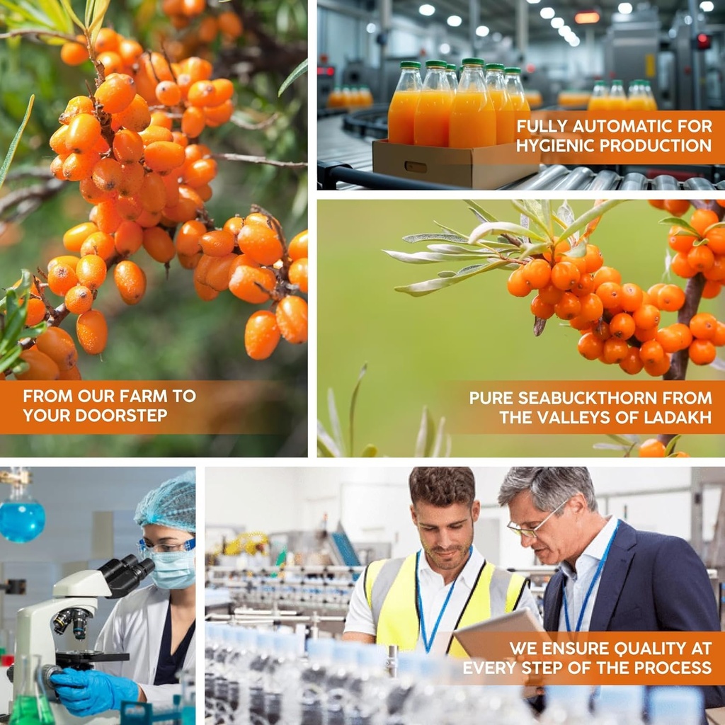 my-pahadi-dukan-himalayan-sea-buckthorn--71f9zAtIBeL.jpg