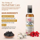 ayurvedic-hair-fall-control-oil-scalp-no-71qazXa7SyL.jpg
