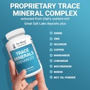 dr-berg-trace-minerals-enhanced-100-mg-m-71m0lrCyjdL.jpg