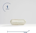 trace-minerals-complex-10-essential-trac-41GrTdkkVLL.jpg