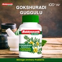 baidyanath-gokshuradi-guggulu-80-tablets-61TTq7j7RFL.jpg