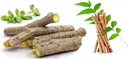 neem-giloy-stick-370-gram-organic-guduch-51nONIlVazL.jpg