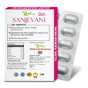 slim-sanjevani-tablets-reduce-extra-fat--611NHbriEzL.jpg