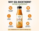 sea-buckthorn-juice-300-ml-pack-of-1-for-61HFYxE7RlL.jpg