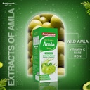 baidyanath-amla-juice-pitta-balancing-im-61l6-2s2I2L.jpg