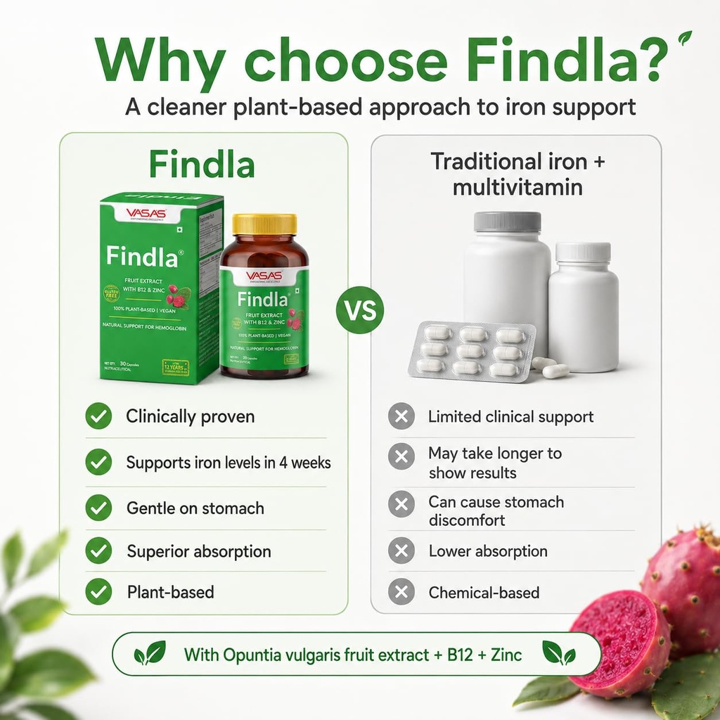 findla-prickly-pear-fruit-extract-capsul-71BhYF1aNjL.jpg