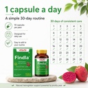 findla-prickly-pear-fruit-extract-capsul-710pdv-SggL.jpg