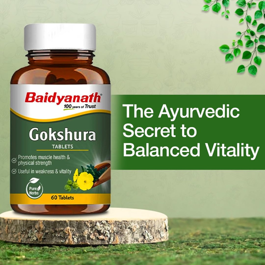 baidyanath-ayurved-gokshura-60-tablets-s-61h4Z5Ci9mL.jpg