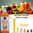 root-shakti-naturals-sea-buckthorn-juice-71aa9ofnQ0L.jpg