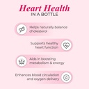 patanjali-cholesterol-care-liquid-heart--51IbtIbTgtL.jpg