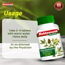 baidyanath-trayodasang-guggulu-80-tablet-61Rb0tm1O7L.jpg