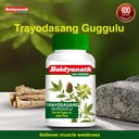 baidyanath-trayodasang-guggulu-80-tablet-61lbhfuABOL.jpg