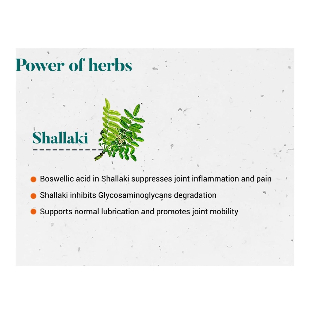 himalaya-shallaki-pain-and-inflammation--61DHjJF8JWL.jpg