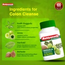 baidyanath-triphala-guggulu-tablets-ayur-61E3CV1mDLL.jpg