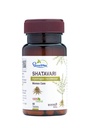 dhootapapeshwar-shatavari-tablets-ayurve-71AmLJQoVbL.jpg