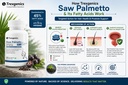 trexgenics-saw-palmetto-advanced-high-st-71cxyYr6KYL.jpg