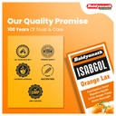 baidyanath-isabgol-psyllium-husk-orange--61urNYgQhBL.jpg
