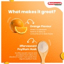 baidyanath-isabgol-psyllium-husk-orange--71sNNPkr1qL.jpg