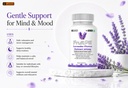 leewell-lavender-flower-extract-200mg-ca-61kyG1qWWWL.jpg