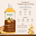 bhumija-lifesciences-ginger-juice-1l-sug-71TWFIeX9SL.jpg
