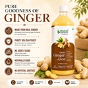 bhumija-lifesciences-ginger-juice-1l-sug-71rp2CfEZTL.jpg