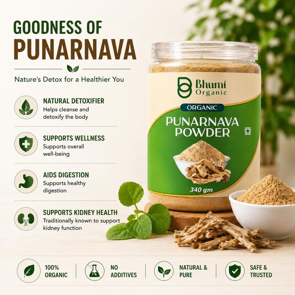 ayurveda-punarnava-powder-340-gm-71GFemRZJmL.jpg