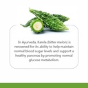 jain-pure-karela-powder-1kg-100-natural--51aeiQFTy8L.jpg