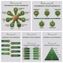 indianjadibooti-ayurvedic-strength-stami-818GYc8QkLL.jpg