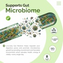 liv-lively-gut-restore-100-natural-probi-81vRT0ZAM9L.jpg