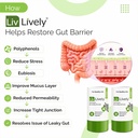 liv-lively-gut-restore-100-natural-probi-81LfFffbC8L.jpg
