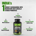 greendorse-premium-shoden-ashwagandha-35-61dVpgeUS6L.jpg