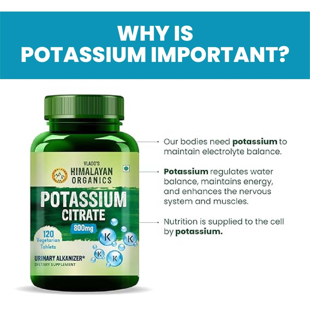 vlado-s-himalayan-organics-potassium-cit-719HFEgLPML.jpg