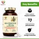 molybdenum-sodium-molybdate-100mcg-suppo-61DkBkHLcsL.jpg