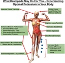 krampade-fiber-supplement-electrolytes-p-5.jpg