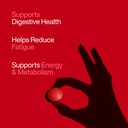 alpino-superone-daily-multivitamin-table-611aPviHjoL.jpg