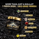ayuvya-i-gain-and-shilajit-combo-i-gain--7198ogqAZVL.jpg