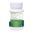 bb-back-to-beginnings-berberine-suppleme-61HYxu1iRcL.jpg