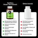 natxtra-green-tea-supplement-supports-fa-61dKQSnFiHL.jpg
