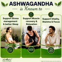 organic-ashwagandha-tablets-1200mg-600mg-717OwyXxJUL.jpg