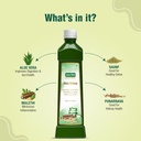 jeena-sikho-aloe-detox-juice-naturally-b-618nwt1Sa+L.jpg