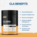 myfitfuel-cla-2000mg-90-softgels-supplem-61jbR861pJL.jpg