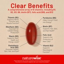 naturewise-vitamin-b-complex-for-women-a-81hVeunrqkL.jpg