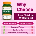 pure-nutrition-niacin-vitamin-b3-supplem-719Jza1sARL.jpg