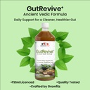 growfitz-gutrevive-liver-care-juice-1l-n-61kb1wOaJfL.jpg