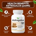 biotrex-nutraceuticals-astragalus-500mg--819MQWImOwL.jpg
