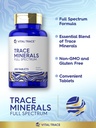 carlyle-trace-minerals-200-tablets-full--81G8ZO-XP6L.jpg