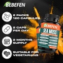 bebefen-2-packs-15050mg-sea-moss-capsule-5.jpg
